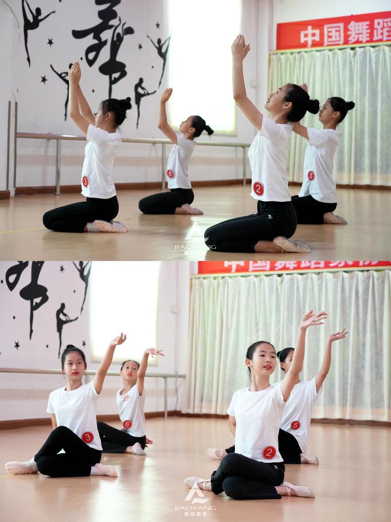 创新与艺术交织的魅力——高新区舞蹈培训行业动态